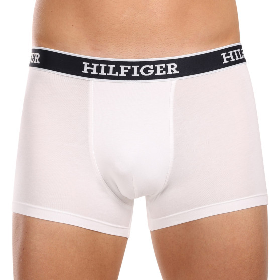 3PACK Vyriški boksininko šortai Tommy Hilfiger daugiaspalviai (UM0UM03185 0YZ)