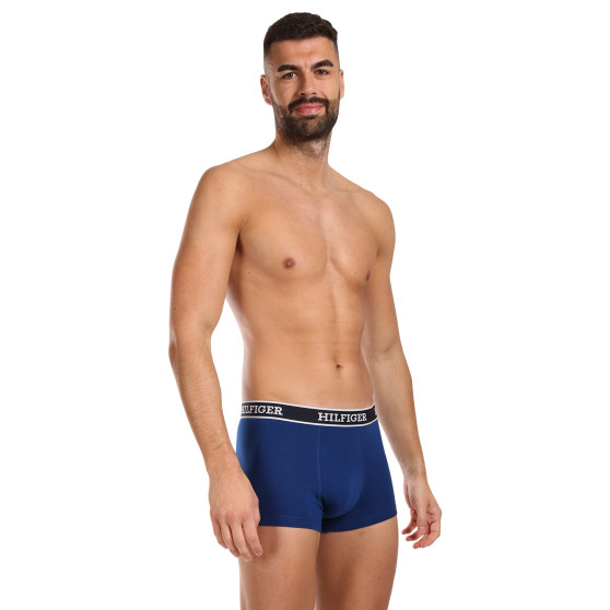 3PACK Vyriški boksininko šortai Tommy Hilfiger daugiaspalviai (UM0UM03185 0YZ)