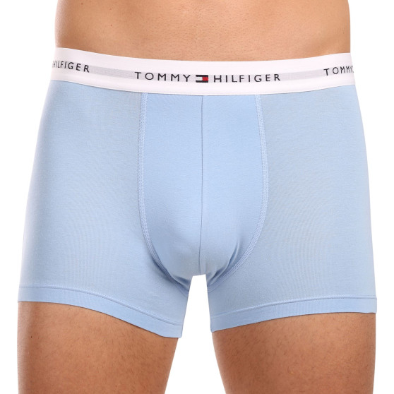 3PACK Vyriški boksininko šortai Tommy Hilfiger daugiaspalviai (UM0UM02768 0Y2)