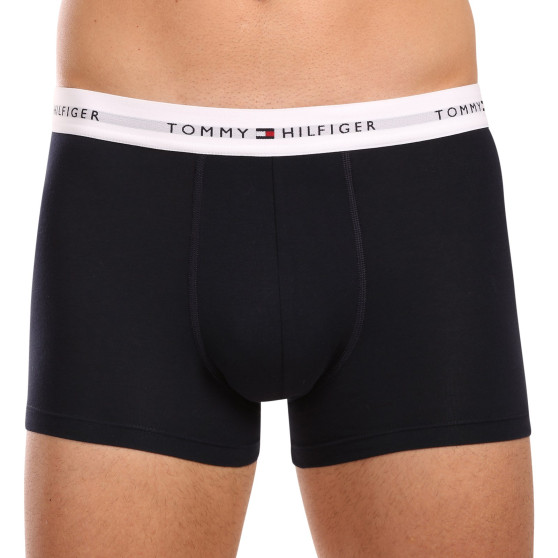 3PACK Vyriški boksininko šortai Tommy Hilfiger daugiaspalviai (UM0UM02768 0Y2)