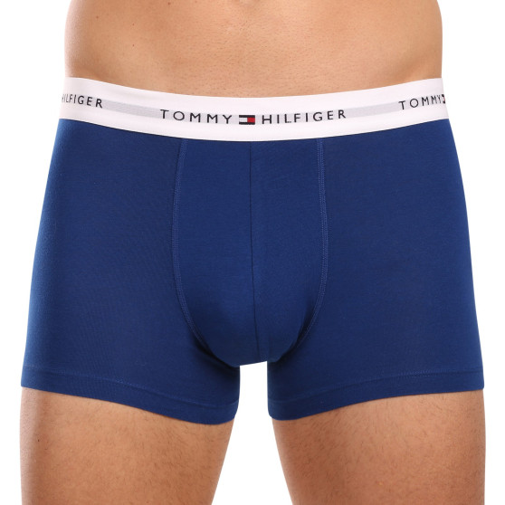 3PACK Vyriški boksininko šortai Tommy Hilfiger daugiaspalviai (UM0UM02761 0XZ)