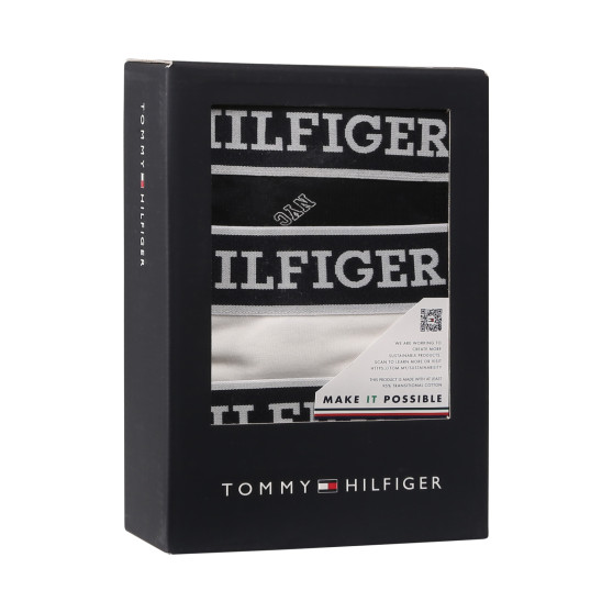 3PACK Vyriški boksininko šortai Tommy Hilfiger daugiaspalviai (UM0UM03284 0YY)