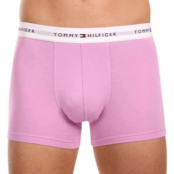 3PACK Vyriški boksininko šortai Tommy Hilfiger daugiaspalviai (UM0UM02761 0VI)