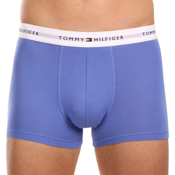 3PACK Vyriški boksininko šortai Tommy Hilfiger daugiaspalviai (UM0UM02761 0VI)