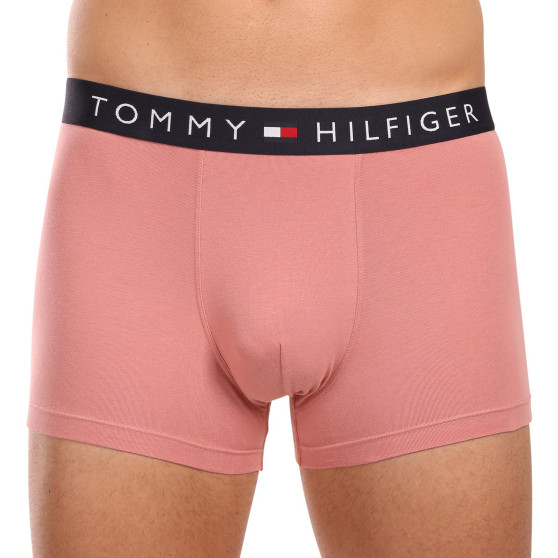 3PACK Vyriški boksininko šortai Tommy Hilfiger daugiaspalviai (UM0UM03180 0XO)