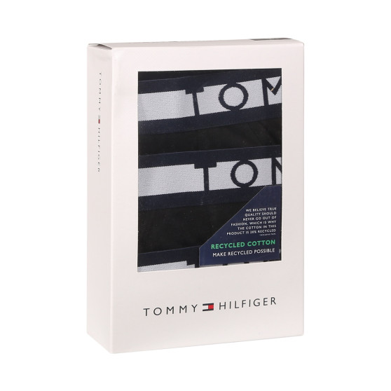 3PACK Vyriškos kelnaitės Tommy Hilfiger juodos (UM0UM01227 0R9)