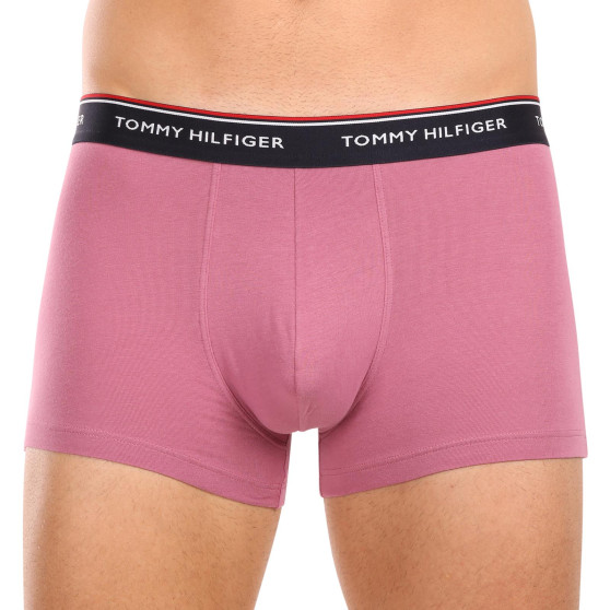 3PACK Vyriški boksininko šortai Tommy Hilfiger daugiaspalviai (1U87903842 0XV)