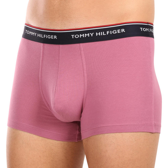 3PACK Vyriški boksininko šortai Tommy Hilfiger daugiaspalviai (1U87903842 0XV)