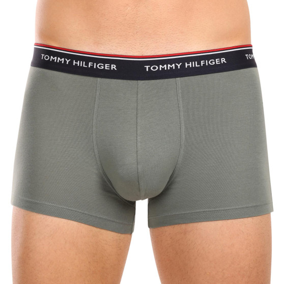 3PACK Vyriški boksininko šortai Tommy Hilfiger daugiaspalviai (1U87903842 0XV)