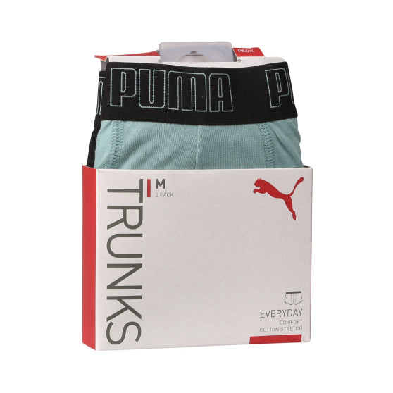 2PACK Vyriški boksininko šortai Puma daugiaspalviai (100000884 054)