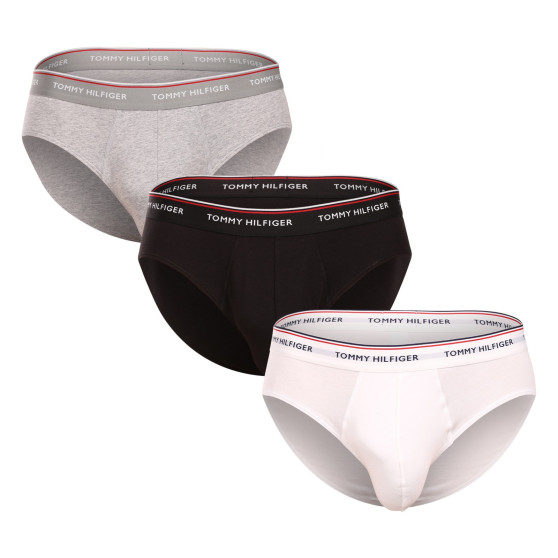 3PACK Vyriškos kelnaitės Tommy Hilfiger multicolour (1U87903766 004)