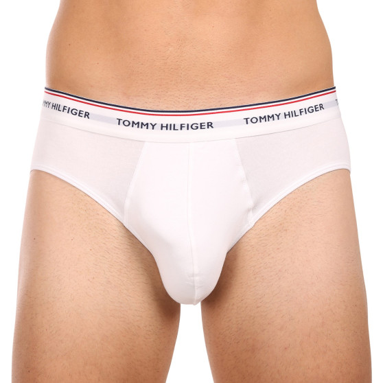 3PACK Vyriškos kelnaitės Tommy Hilfiger multicolour (1U87903766 004)