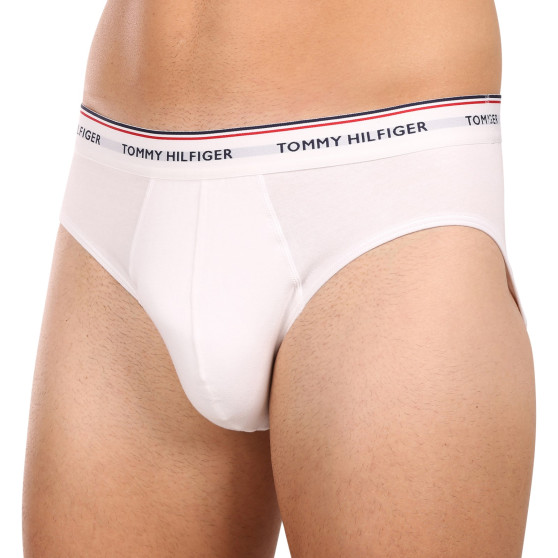 3PACK Vyriškos kelnaitės Tommy Hilfiger multicolour (1U87903766 004)