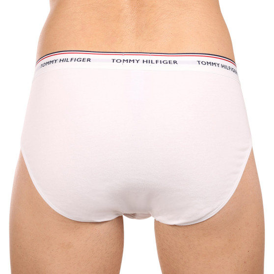 3PACK Vyriškos kelnaitės Tommy Hilfiger multicolour (1U87903766 004)