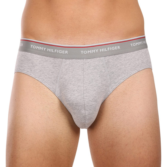 3PACK Vyriškos kelnaitės Tommy Hilfiger multicolour (1U87903766 004)