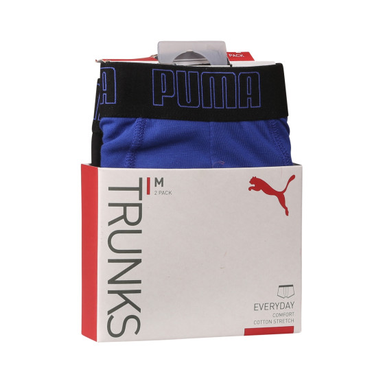 2PACK Vyriški boksininko šortai Puma daugiaspalviai (100000884 055)