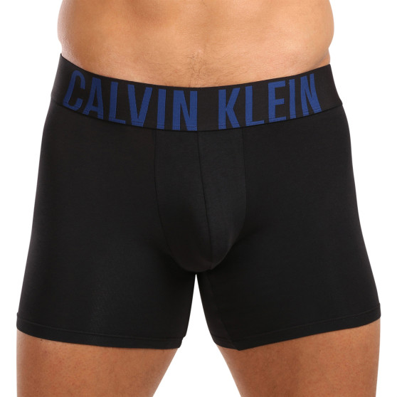 3PACK Vyriški boksininko šortai Calvin Klein juodi (NB3609A-LXT)