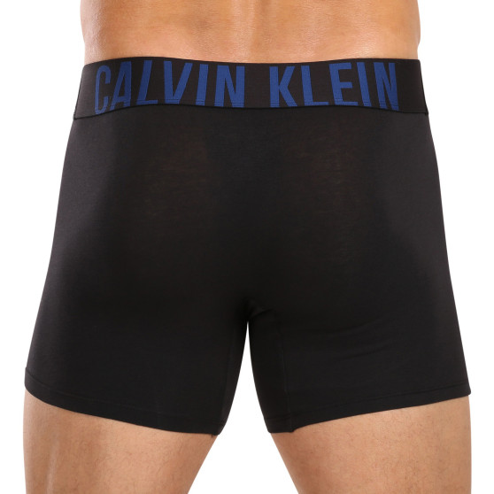 3PACK Vyriški boksininko šortai Calvin Klein juodi (NB3609A-LXT)