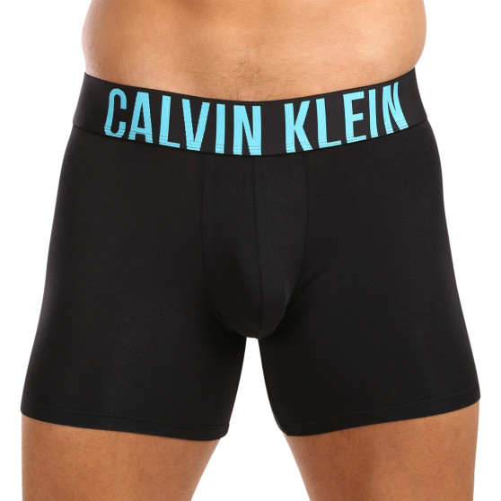 3PACK Vyriški boksininko šortai Calvin Klein juodi (NB3609A-LXT)