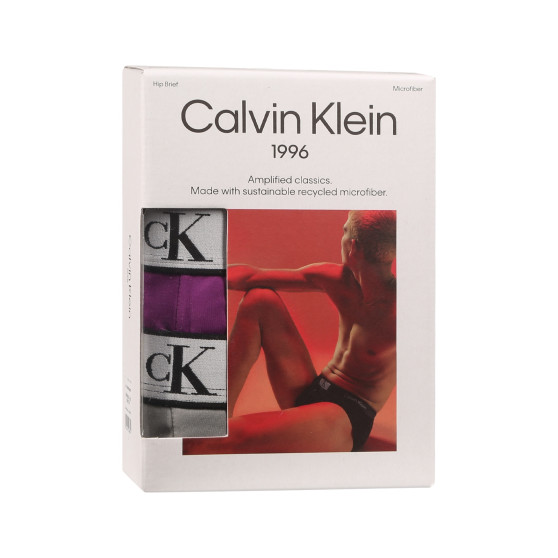 3PACK Vyriškos kelnaitės Calvin Klein multicolour (NB3531A-LX5)