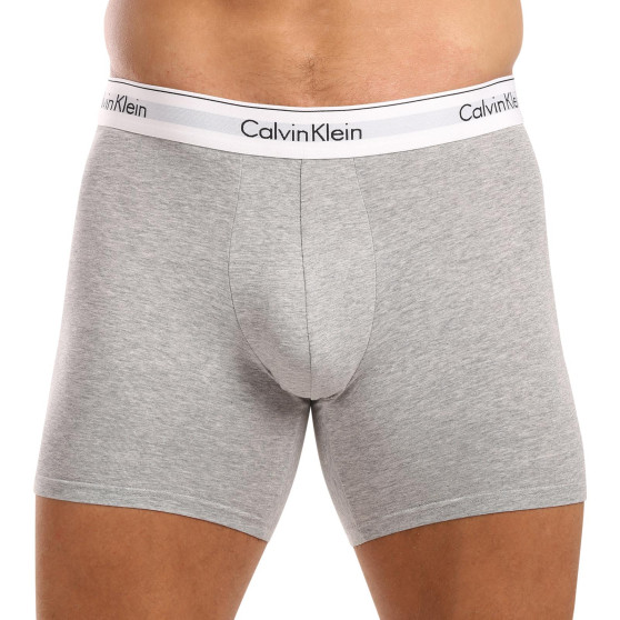 3PACK Vyriški boksininko šortai Calvin Klein daugiaspalviai (NB2381A-N2I)