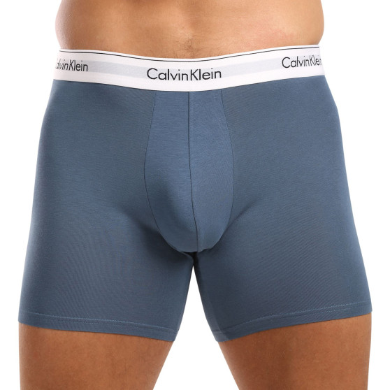 3PACK Vyriški boksininko šortai Calvin Klein daugiaspalviai (NB2381A-N2I)