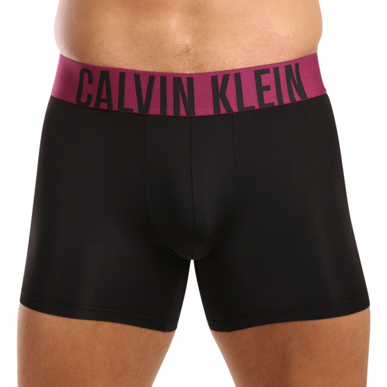 3PACK Vyriški boksininko šortai Calvin Klein juodi (NB3612A-MDL)