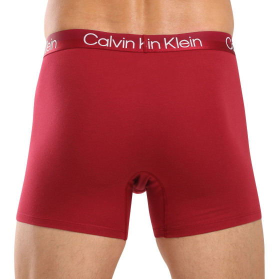 3PACK Vyriški boksininko šortai Calvin Klein daugiaspalviai (NB2971A-MCI)