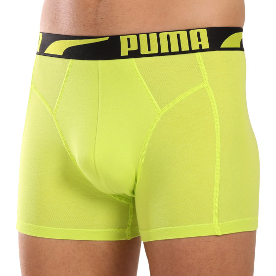 2PACK Vyriški boksininko šortai Puma daugiaspalviai (701225876 001)