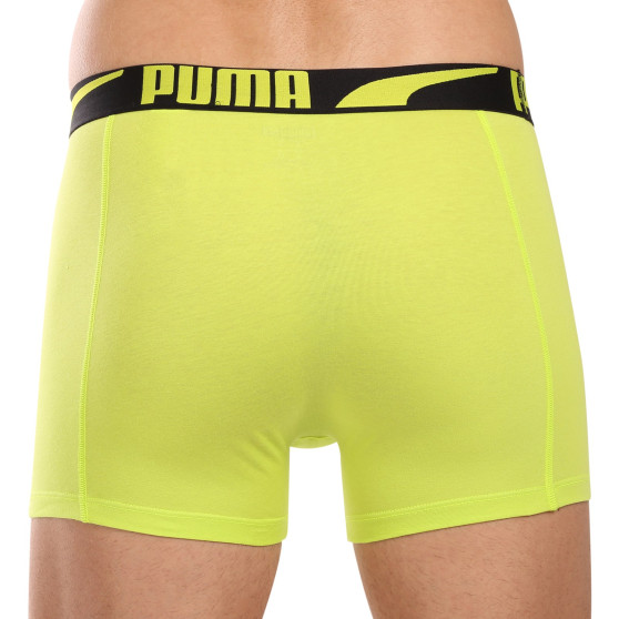 2PACK Vyriški boksininko šortai Puma daugiaspalviai (701225876 001)