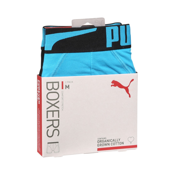 2PACK Vyriški boksininko šortai Puma daugiaspalviai (701225876 002)