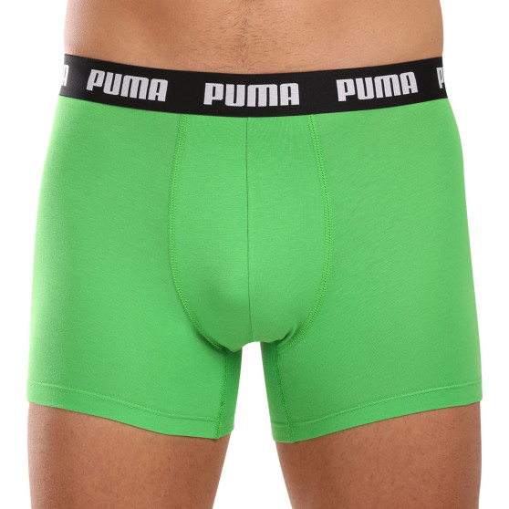 3PACK Vyriški boksininko šortai Puma daugiaspalviai (701226820 008)