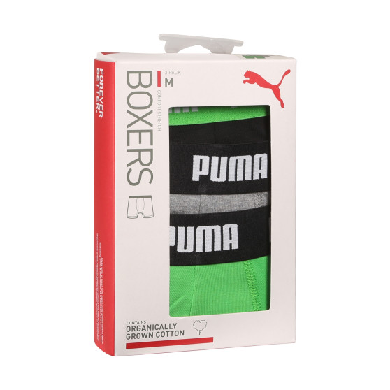 3PACK Vyriški boksininko šortai Puma daugiaspalviai (701226820 008)