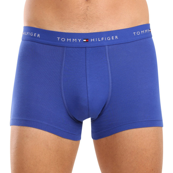 3PACK Vyriški boksininko šortai Tommy Hilfiger daugiaspalviai (UM0UM03438 0WH)