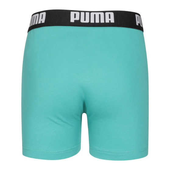 2PACK berniukų boksininkų šortai Puma daugiaspalviai (701225791 001)