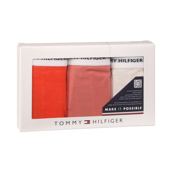 3PACK Moteriškos kelnaitės Tommy Hilfiger multicolour (UW0UW04895 0VG)