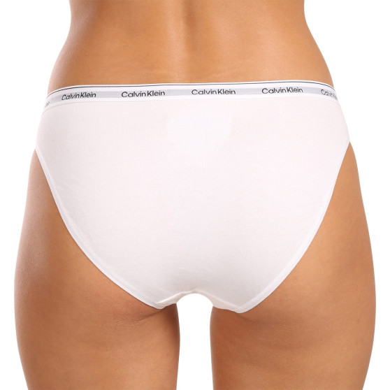 3PACK Moteriškos kelnaitės Calvin Klein multicolour (QD5207E-MPI)