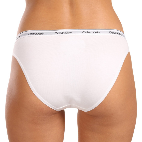 3PACK Moteriškos kelnaitės Calvin Klein multicolour (QD5207E-NPA)