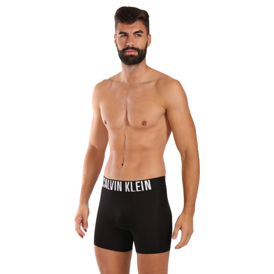 3PACK Vyriški boksininko šortai Calvin Klein juodi (NB3612A-Q1L)