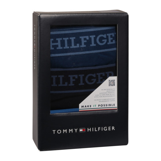 3PACK Vyriški boksininko šortai Tommy Hilfiger daugiaspalviai (UM0UM03413 0XW)