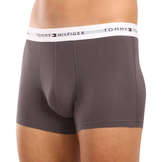 3PACK Vyriški boksininko šortai Tommy Hilfiger daugiaspalviai (UM0UM02761 0UI)