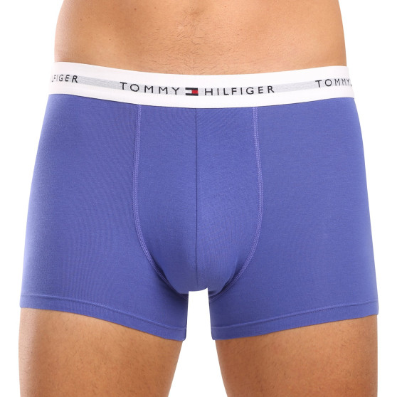 3PACK Vyriški boksininko šortai Tommy Hilfiger daugiaspalviai (UM0UM02761 0UI)