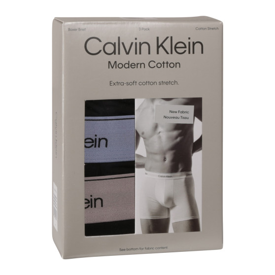 3PACK Vyriški boksininko šortai Calvin Klein juodi (NB3964A-U2Y)