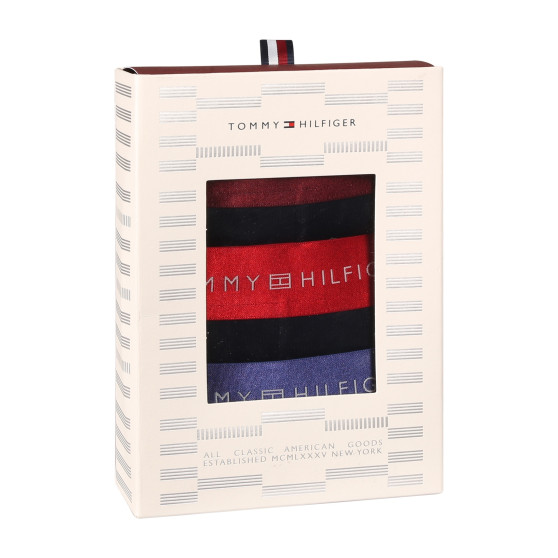 3PACK Vyriški boksininko šortai Tommy Hilfiger juodi (UM0UM03411 0WP)