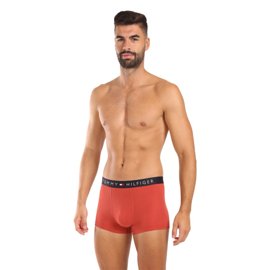 3PACK Vyriški boksininko šortai Tommy Hilfiger daugiaspalviai (UM0UM03180 0RW)